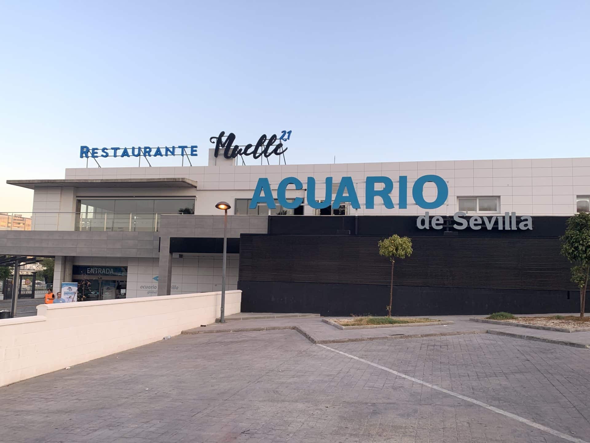 wcsevilla acuario wcsevilla acuario