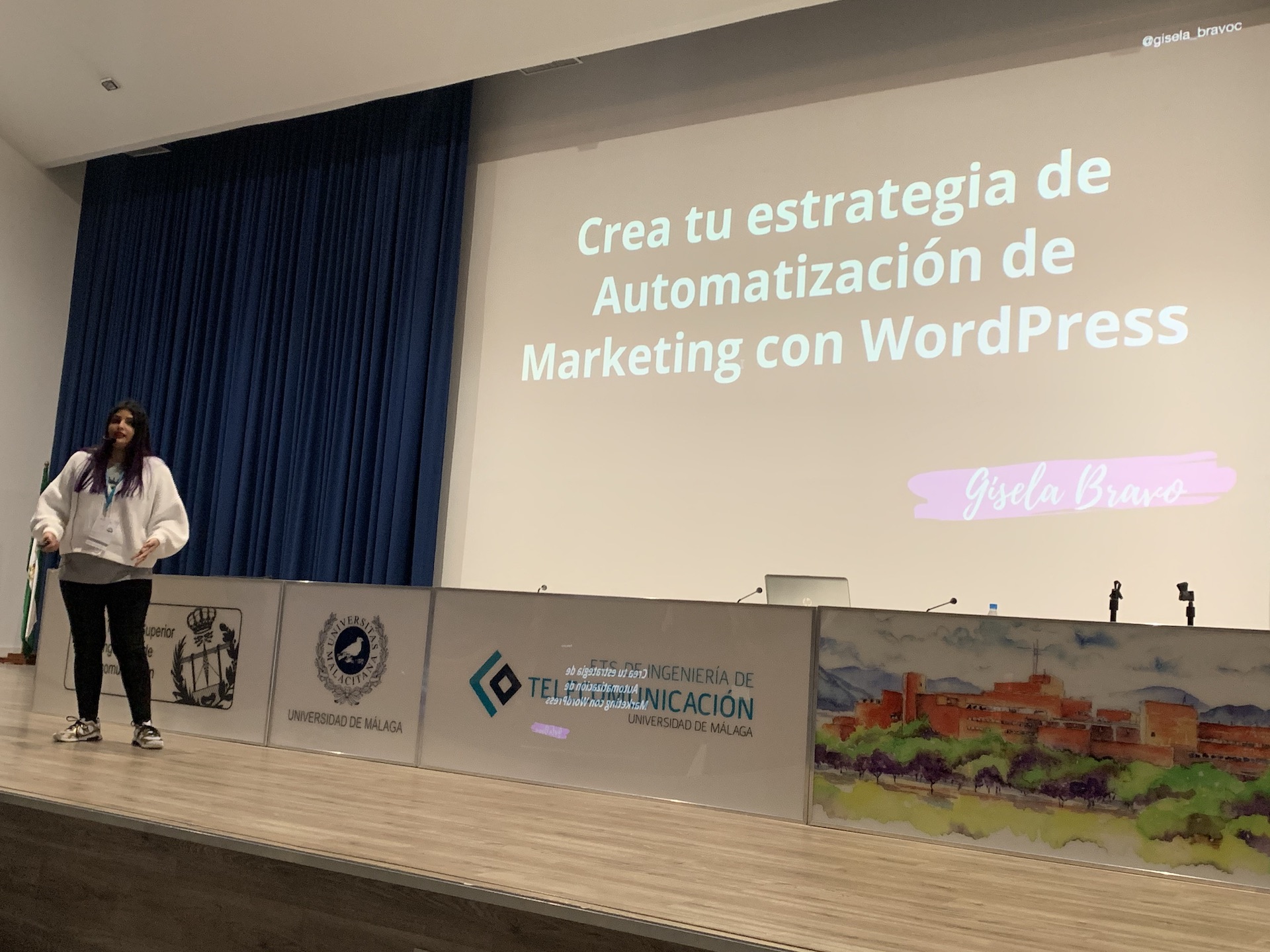 automatizacion marketing wordpress